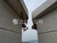 담, 벽, 돌, 식물, 공간, 사진,이미지,일러스트,캘리그라피 - 솔바람작가 크라우드픽 - 저작권 걱정 없는 상업용 이미지