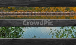 river, 강, 식물, 강가, 노랑, 사진,이미지,일러스트,캘리그라피 - ㄱill_photo.o작가 크라우드픽 - 저작권 걱정 없는 상업용 이미지