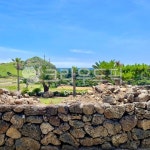 돌담길, 돌담, 제주도, 자연, jeju, 사진,이미지,일러스트,캘리그라피 - kimu7작가 크라우드픽 - 저작권 걱정 없는 상업용 이미지