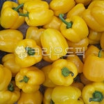 용사복싱앤킥다이어트 | 노란피망, 피망, 다이어트, 농산물, 채소, 사진,이미지,일러스트,캘리그라피 - 용사모작가 크라우드픽 - 저작권 걱정 없는 상업용 이미지