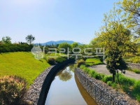 outdoors, 옥외, park, 공원, nature, 사진,이미지,일러스트,캘리그라피 - 아이얌작가 크라우드픽 - 저작권 걱정 없는 상업용 이미지