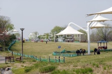 파크골프, 파크골프장, 스포츠, 취미, 운동, 사진,이미지,일러스트,캘리그라피 - 나비처럼작가 크라우드픽 - 저작권 걱정 없는 상업용 이미지