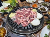 오리고기, 오리, 오리로스, 오리구이, 오리한상, 사진,이미지,일러스트,캘리그라피 - Letty작가 크라우드픽 - 저작권 걱정 없는 상업용 이미지