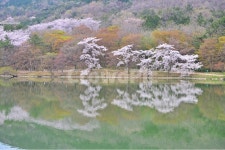 경남, 창원, 진해, 여좌동, 내수면환경생태공원, 사진,이미지,일러스트,캘리그라피 - 영산공작가 크라우드픽 - 저작권 걱정 없는 상업용 이미지