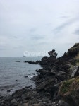 제주, 용담, 용두암, 바닷가, 현무암, 사진,이미지,일러스트,캘리그라피 - 셀마작가 크라우드픽 - 저작권 걱정 없는 상업용 이미지