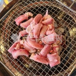 음식, 식사, 꼼장어, 산꼼장어, 꼼장어구이, 사진,이미지,일러스트,캘리그라피 - Niamwinmir작가 크라우드픽 - 저작권 걱정 없는 상업용 이미지