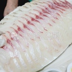 광어, 우럭, 광어회, 우럭회, 회, 사진,이미지,일러스트,캘리그라피 - 모먼트111작가 크라우드픽 - 저작권 걱정 없는 상업용 이미지