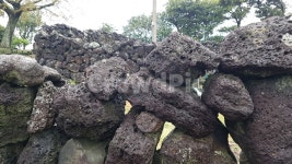 제주도, 돌담, 제주, 자연, 비, 사진,이미지,일러스트,캘리그라피 - tori828작가 크라우드픽 - 저작권 걱정 없는 상업용 이미지