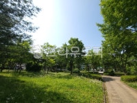 푸른하늘, 원천공원, 5월풍경, 자연, 옥외, 사진,이미지,일러스트,캘리그라피 - 프리한자유작가 크라우드픽 - 저작권 걱정 없는 상업용 이미지