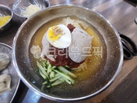 food, 음식, 막국수, 비빔막국수, 비빔냉면, 사진,이미지,일러스트,캘리그라피 - 김팝피작가 크라우드픽 - 저작권 걱정 없는 상업용 이미지