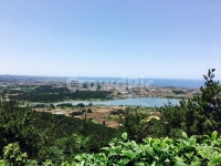 제주도, 지미오름, 성산뷰, 봄제주, 등산, 사진,이미지,일러스트,캘리그라피 - Njws0225작가 크라우드픽 - 저작권 걱정 없는 상업용 이미지