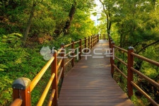 공원, 숲, 둘레길, 산책로, 다리, 사진,이미지,일러스트,캘리그라피 - imlover작가 크라우드픽 - 저작권 걱정 없는 상업용 이미지