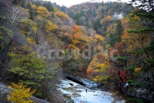 설악산, 가을, 풍경, 단풍, 탐방 사진, 이미지 - 릴작가 가장 한국적인 스톡 사진 - 크라우드픽