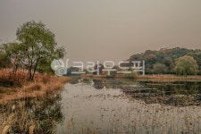 호수공원, 공원, 호수, 물, 옥외, 사진,이미지,일러스트,캘리그라피 - imlover작가 크라우드픽 - 저작권 걱정 없는 상업용 이미지