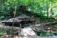 약수터, 약수, 오두막집, 물, 신선한, 사진,이미지,일러스트,캘리그라피 - pradis작가 크라우드픽 - 저작권 걱정 없는 상업용 이미지