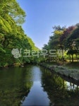 nature, 자연, pond, 연못, water, 사진,이미지,일러스트,캘리그라피 - SILCHID작가 크라우드픽 - 저작권 걱정 없는 상업용 이미지