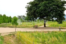 구리한강시민공원, 한강공원, nature, 자연, outdoors, 사진,이미지,일러스트,캘리그라피 - Nbjaru작가 크라우드픽 - 저작권 걱정 없는... 