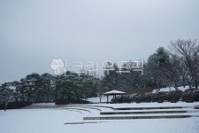 나무, tree, 벤치, bench, 소나무, 사진,이미지,일러스트,캘리그라피 - 운사작가 크라우드픽 - 저작권 걱정 없는 상업용 이미지