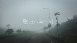 아침, 안개, 도로, 가로등, 가로수, 사진,이미지,일러스트,캘리그라피 - JackyPhoto작가 크라우드픽 - 저작권 걱정 없는 상업용 이미지