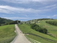 목장, 목초지, 자연, 들판, 하늘, 사진,이미지,일러스트,캘리그라피 - 슐슐작가 크라우드픽 - 저작권 걱정 없는 상업용 이미지