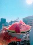수박, 여름, 도시, 과일, 햇빛, 사진,이미지,일러스트,캘리그라피 - 둥쓰작가 크라우드픽 - 저작권 걱정 없는 상업용 이미지