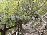 전남화순, jeonnamhwasun, 화순만연산, mountain, 산책로, 사진,이미지,일러스트,캘리그라피 - miso1004작가 크라우드픽 - 저작권 걱정... 