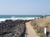 제주도, 한림해안로, 해안산책로, 바다, 바닷가, 사진,이미지,일러스트,캘리그라피 - Ncanvas_작가 크라우드픽 - 저작권 걱정 없는 상업용 이미지