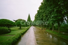 경주산림환경연구원, 경주명소, 경주풍경, 나무, 숲, 사진,이미지,일러스트,캘리그라피 - hongban작가 크라우드픽 - 저작권 걱정 없는 상업용... 