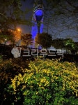 하남, 당정뜰, 야간, 들꽃, 유니온타워, 사진,이미지,일러스트,캘리그라피 - 짹짹이photos작가 크라우드픽 - 저작권 걱정 없는 상업용 이미지