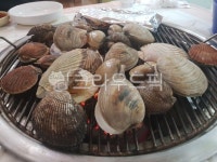 조개구이, 해산물, 어패류, 구이, 바다, 사진,이미지,일러스트,캘리그라피 - soling작가 크라우드픽 - 저작권 걱정 없는 상업용 이미지