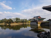 안압지, 경주, 건축물, 건축, 건물, 사진,이미지,일러스트,캘리그라피 - 윤유니작가 크라우드픽 - 저작권 걱정 없는 상업용 이미지
