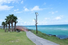 한폭의그림, 해안가, 제주도, 함덕해수욕장, 섬, 사진,이미지,일러스트,캘리그라피 - 미지바라기작가 크라우드픽 - 저작권 걱정 없는 상업용 이미지