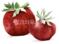 딸기, 못난이과일, 못난이딸기, strawberry, 딸기그림, 사진,이미지,일러스트,캘리그라피 - 날으는붕어작가 크라우드픽 - 저작권 걱정 없는... 