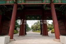 흥화문, 경희궁, 종로구, 서울, 한국, 사진,이미지,일러스트,캘리그라피 - Daolplus작가 크라우드픽 - 저작권 걱정 없는 상업용 이미지