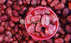 약초, 건재, 한약재, 자연, 뿌리, 사진,이미지,일러스트,캘리그라피 - Nphseo59작가 크라우드픽 - 저작권 걱정 없는 상업용 이미지