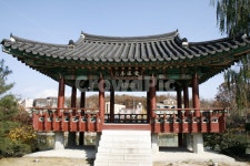 하늘, 애련정, 나무, 정자, 한국, 사진,이미지,일러스트,캘리그라피 - 귀리작가 크라우드픽 - 저작권 걱정 없는 상업용 이미지