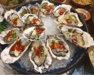 굴, oyster, 석화, 안주, fresh, 사진,이미지,일러스트,캘리그라피 - Nhera0111작가 크라우드픽 - 저작권 걱정 없는 상업용 이미지