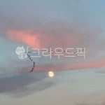 bird, 새, sky, 하늘, nature, 사진,이미지,일러스트,캘리그라피 - j6661작가 크라우드픽 - 저작권 걱정 없는 상업용 이미지