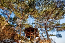 자연, nature, 옥외, outdoors, 정자, 사진,이미지,일러스트,캘리그라피 - studio H작가 크라우드픽 - 저작권 걱정 없는 상업용 이미지