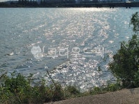 water, 물, nature, 자연, 윤슬, 사진,이미지,일러스트,캘리그라피 - syr321작가 크라우드픽 - 저작권 걱정 없는 상업용 이미지