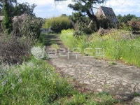 오솔길, 이국적, 들꽃, 들풀, 오두막, 사진,이미지,일러스트,캘리그라피 - indizn작가 크라우드픽 - 저작권 걱정 없는 상업용 이미지