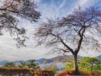 가을, 풍경, 바다, 통영, 남망산공원, 사진,이미지,일러스트,캘리그라피 - SULSUL작가 크라우드픽 - 저작권 걱정 없는 상업용 이미지