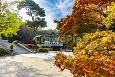 보광사, 가을, 단풍, 자연, 풍경, 사진,이미지,일러스트,캘리그라피 - 봉구58작가 크라우드픽 - 저작권 걱정 없는 상업용 이미지