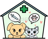 병원, 수의사, 동물병원, 강아지, 고양이, 사진,이미지,일러스트,캘리그라피 - evejet작가 크라우드픽 - 저작권 걱정 없는 상업용 이미지