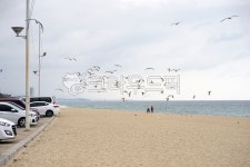car, 자동차, person, 사람, animal, 사진,이미지,일러스트,캘리그라피 - 해피니즘작가 크라우드픽 - 저작권 걱정 없는 상업용 이미지
