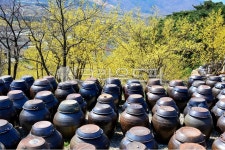 urn, 항아리, 구례산동산수유마을, 구례산수유마을, 산동산수유마을, 사진,이미지,일러스트,캘리그라피 - 영산공작가 크라우드픽 - 저작권 걱정... 