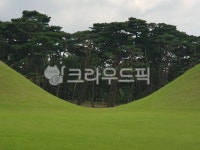 field, outdoors, 소나무, 풍경, 경주, 사진,이미지,일러스트,캘리그라피 - 선몽대작가 크라우드픽 - 저작권 걱정 없는 상업용 이미지