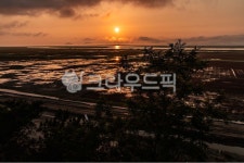 노을, 석양, 저녁, 하늘, 황홀한, 사진,이미지,일러스트,캘리그라피 - 카페인0730작가 크라우드픽 - 저작권 걱정 없는 상업용 이미지