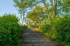 서울, 상암동, 공원, 난지천공원, 산책, 사진,이미지,일러스트,캘리그라피 - imlover작가 크라우드픽 - 저작권 걱정 없는 상업용 이미지