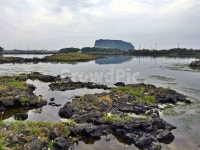성산일출봉, 내수면둑방길, 내수면, 제주, 올레2코스, 사진,이미지,일러스트,캘리그라피 - Deep bLUE작가 크라우드픽 - 저작권 걱정 없는... 